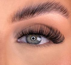 looking for printing partner Lash Tut Short Lashes, Big Lashes And Eyeliner, Volume Russe, Applying False Lashes, Russian Lashes, Big Lashes, Perfect Eyelashes, Eyelash Extentions, Curl Lashes