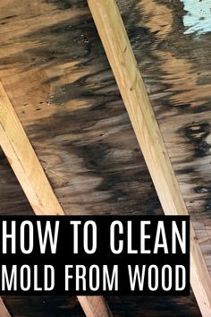 How to clean mold from wood How To Remove Mold From Wood, Removing Mold From Wood, Mold Remover On Wood, Remove Mold From Wood, Remove Mold Stains, How To Remove Mold, Clean Furniture, Remove Black Mold, Mold And Mildew Remover