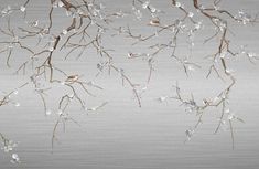 branches with white flowers are shown against a gray background in this artistic photo, there is no image to describe