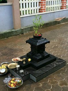 a small tree is growing out of a fountain in the middle of a sidewalk with bowls of food on it