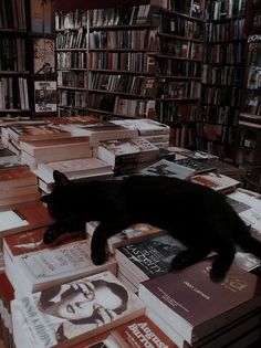 a black cat laying on top of books in a room full of bookshelves