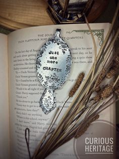 an open book sitting on top of a table next to dried grass and flowers in front of it