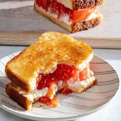 two pieces of toasted cheese and tomato sandwich on a plate