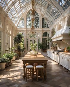 a large kitchen with lots of windows and potted plants