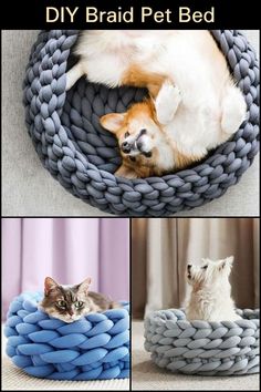 two pictures of a cat and a dog laying in a bed made out of yarn