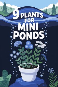 9 Plants for Mini Ponds (Miniature Picks)