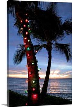 a palm tree covered in christmas lights next to the ocean