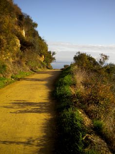 a dirt road surrounded by trees and bushes on the side of a hill with water in the distance