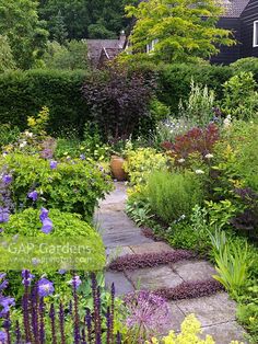 the garden is full of colorful flowers and plants