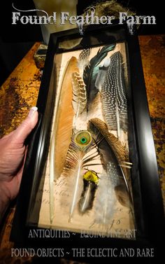 a person holding up a frame with feathers in it and the words, found feather farm