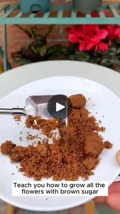 6.2K views · 140 reactions | Great combination of brown sugar and plant care
#plants #gardeningmakemehappy #gardenhacks #planthacks #gardening | Gardening Lab