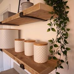 three white vases are sitting on a shelf next to a potted green plant