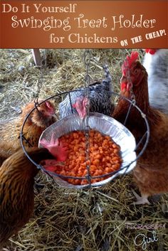 some chickens are eating food out of a metal bowl with the words do it yourself?