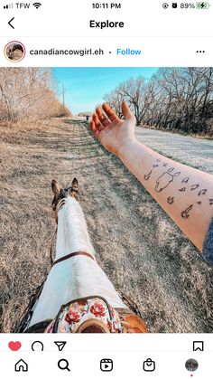 someone is holding the hand of their horse