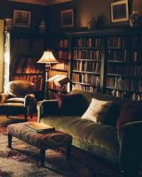 a living room filled with lots of books and furniture