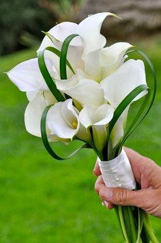 a person holding a bouquet of white flowers in their left hand, with grass in the background