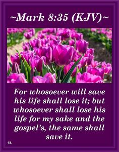 purple flowers with the words mark 8 3 kjv for whoever will save his life shall