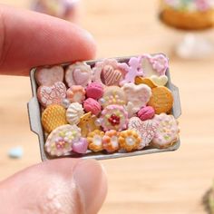 a person holding a tiny box with lots of cookies in it