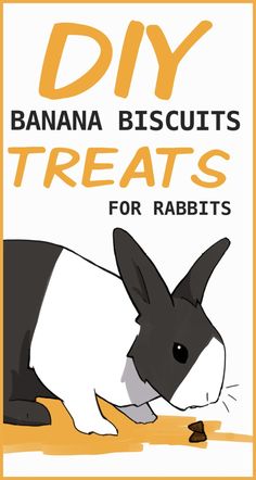 a poster with the words diy banana biscuits treats for rabbits