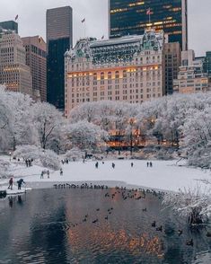 people are walking around in the snow and ice