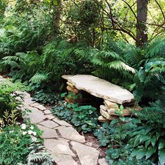 a stone path in the middle of a forest with a bench on one side and trees to the other