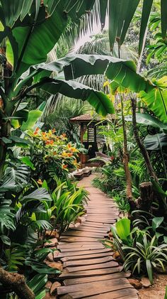 a wooden walkway surrounded by tropical plants and trees