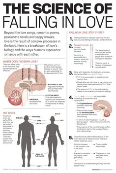 the science of falling in love poster with information about how to get out of it