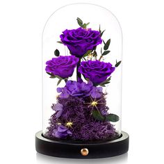 three purple roses in a glass dome with moss and gold balls on the base,