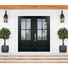 two potted plants sit on the front step of a house with black double doors