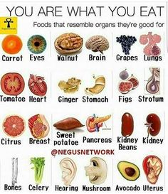 Eat For Health, Resep Diet, Healing Food, Diet Keto, Food Facts, What You Eat, Natural Medicine, Healthy Living Tips