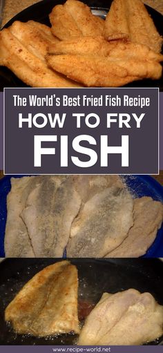 the world's best fried fish recipe how to fry fish