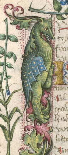 an image of a green dragon on a page in a book with flowers and leaves