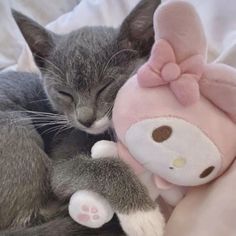 a gray cat sleeping next to a pink stuffed animal