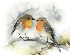 two birds sitting on top of a tree branch next to eachother's beaks