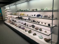 a display case filled with lots of rocks and stones on glass shelves next to each other