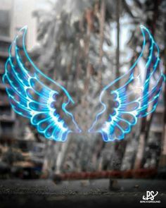 an artistic photo with blue lights in the shape of wings