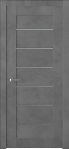 an image of a modern door with glass panels on the front and side paneling