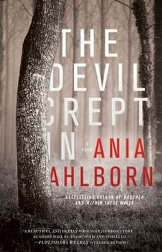 the devil's repept in ania ahlborn book cover with trees and fog