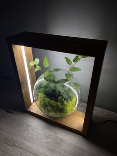 a small plant in a glass bowl on a wooden stand