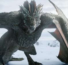 a close up of a dragon in the snow