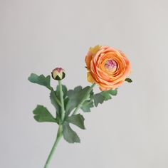 Luxe Faux Ranunculus, Real Touch Ranunculus, Fake Ranunculus, Silk Ranunculus, Artificial Ranunculus, Faux Ranunculus, Ranunculus Corms - Etsy Open Flower, Real Touch Flowers, Ranunculus, Flower Making, Star Signs, Fresh Flowers, Dark Pink, Artificial Flowers, Roses