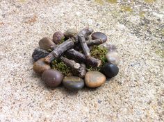 rocks and twigs are arranged in a circle on the ground