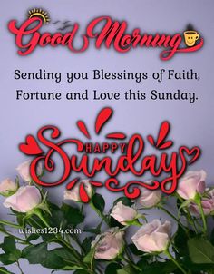 a bouquet of roses sitting in front of a happy sunday card with the words, good morning sending you blessing of faith, fortune and love this sunday