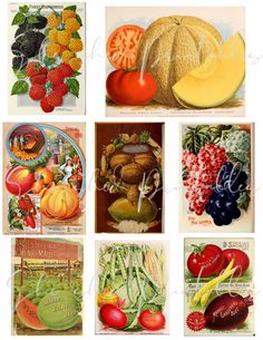 several pictures of different fruits and vegetables in each picture, including oranges, strawberries, apples, grapes, watermelon