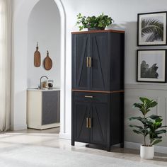 a tall cabinet with doors and drawers in a living room next to a potted plant