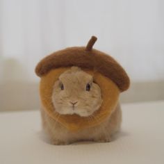 a brown and white animal with a hat on it's head sitting on a table