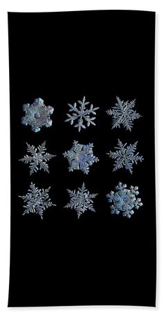 snowflakes on black background hand towel featuring six different types of snow flakes