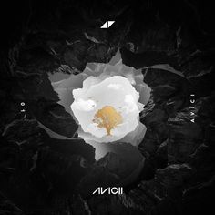 the cover art for liona's album, which features an image of a flower