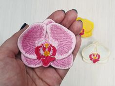 a hand holding a pink and yellow flower