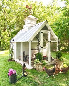 chickens and roosters are outside in the grass near a chicken coop with a clock on top